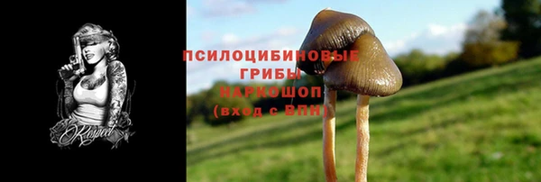 spice Аркадак