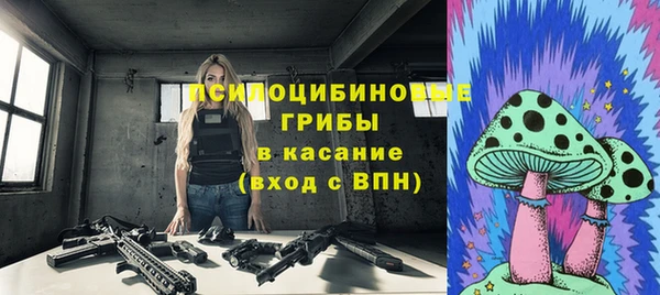 СК Мегион