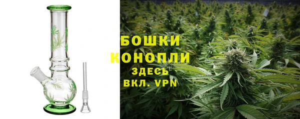 spice Аркадак