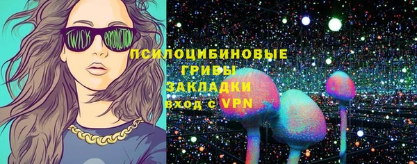 ешки Арсеньев